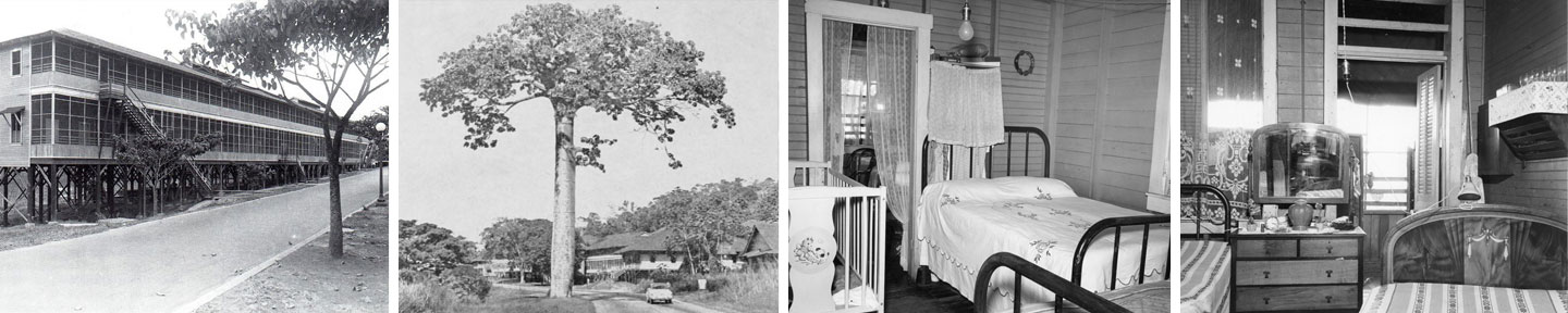 Afro Panama Canal Zone Legacy